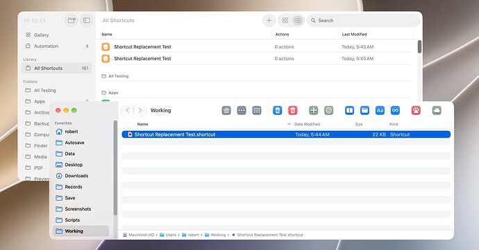 Shortcut Replacement Test