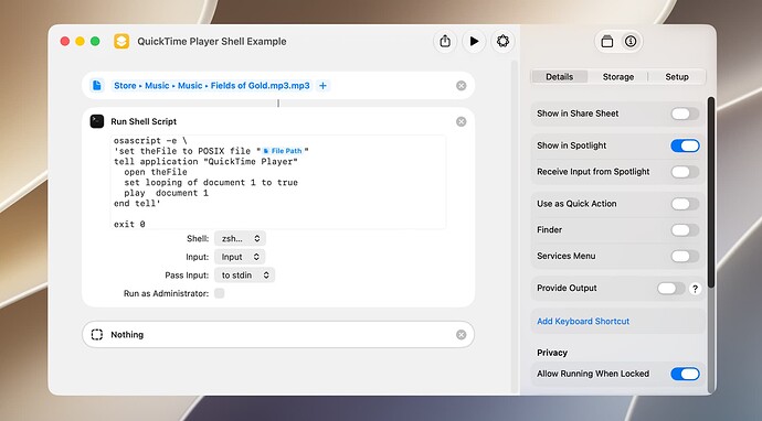 QuickTime Player Shell Example