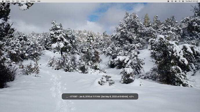 Shortcut Test