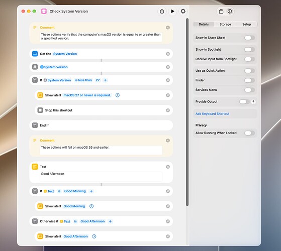 Check System Version
