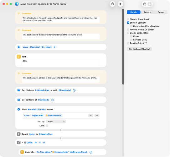 Move Files with Specified File Name Prefix