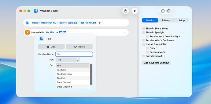 Variable Editor