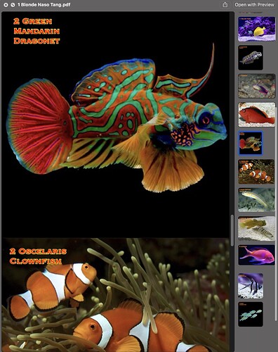 Fish