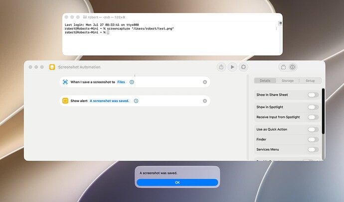 Screenshot Automation