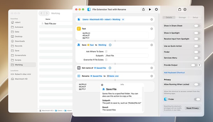 File Extension Test with Rename