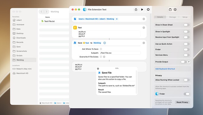 File Extension Test